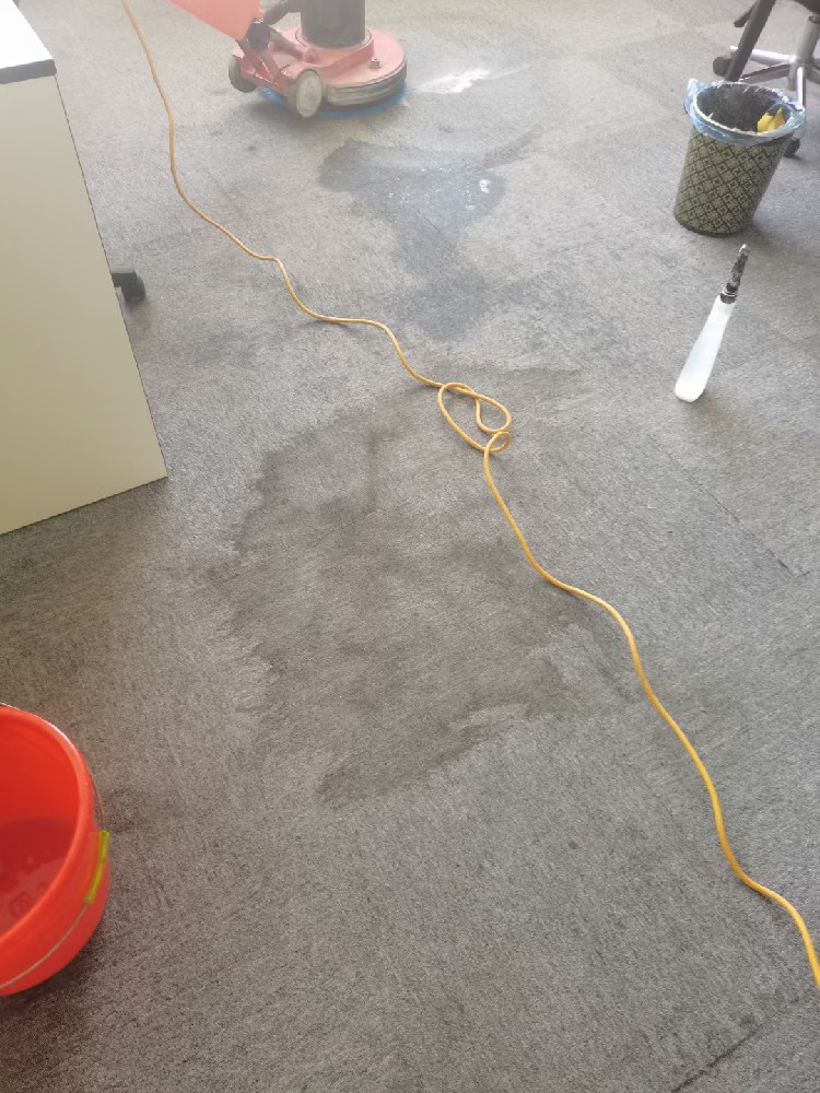 办公室地毯多久需要清洗